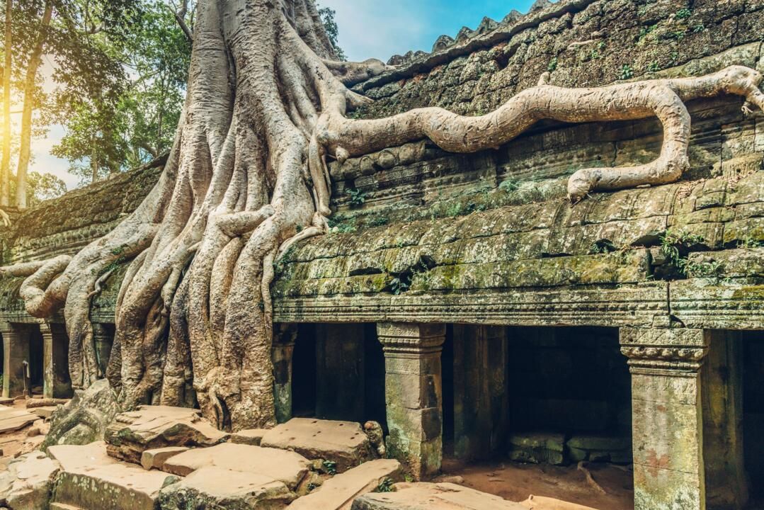 Circuit Privatif Des Temples d'Angkor à Kep 4* pas cher photo 3
