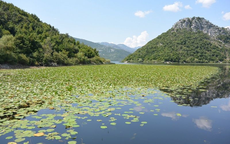 Circuit Découverte au Monténégro 4* pas cher