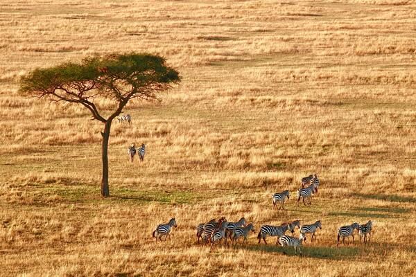 Circuit Des Ocres de Tanzanie à Zanzibar 3*-4* pas cher photo 9