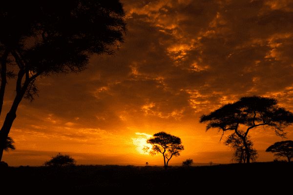 Circuit Des Ocres de Tanzanie à Zanzibar 3*-4* pas cher photo 16