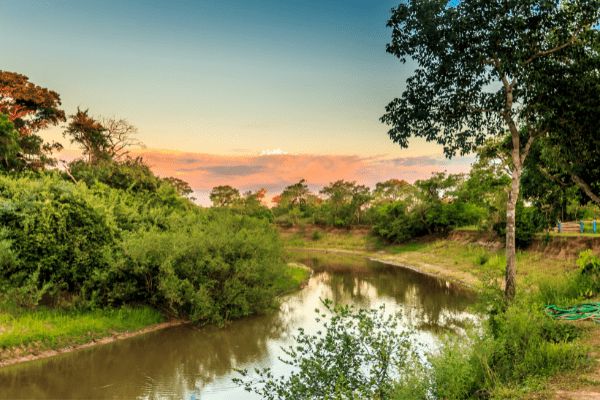Circuit Baianas et Cariocas, Trésors du Brésil et Plaines du Pantanal 3*-4* pas cher photo 30