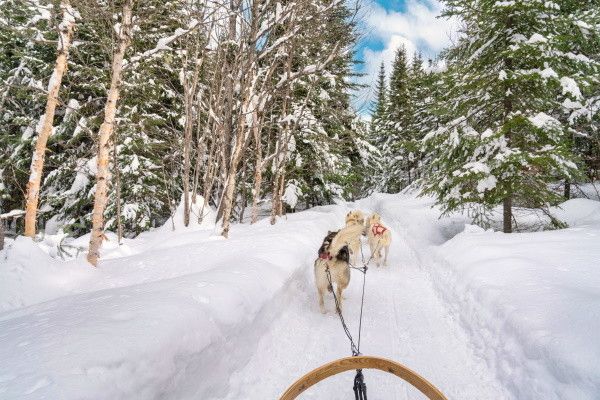 Circuit Aventures dans le Grand Nord Canadien 4* pas cher photo 2