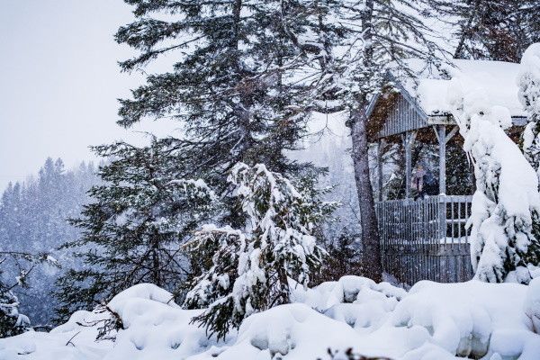 Circuit Aventures dans le Grand Nord Canadien 4* pas cher photo 5