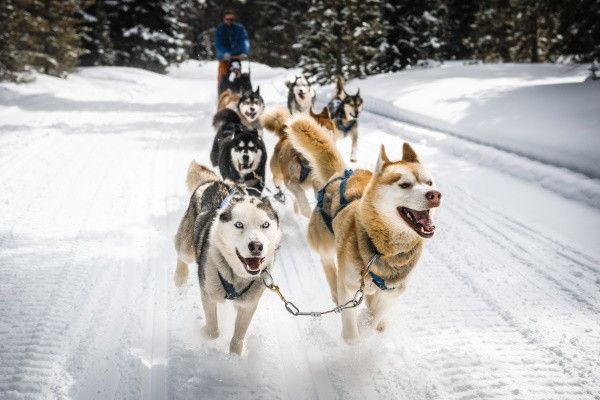Circuit Aventures dans le Grand Nord Canadien 4* pas cher photo 10