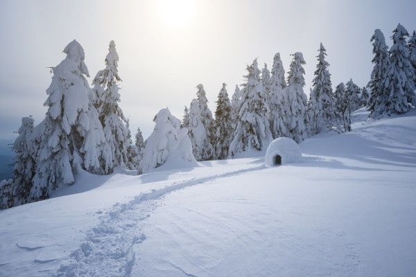 Circuit Aventures dans le Grand Nord Canadien 4* pas cher photo 12