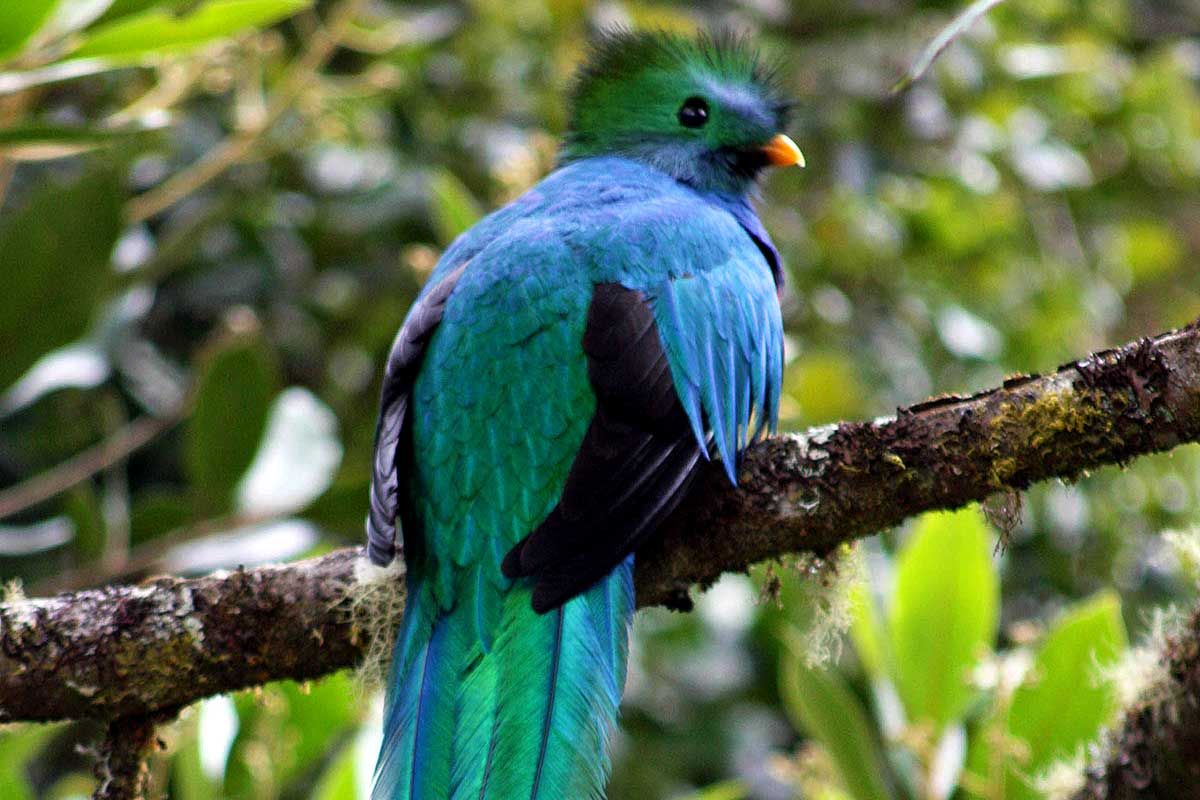 Circuit Tierra Maya 2*-3* pas cher photo 16