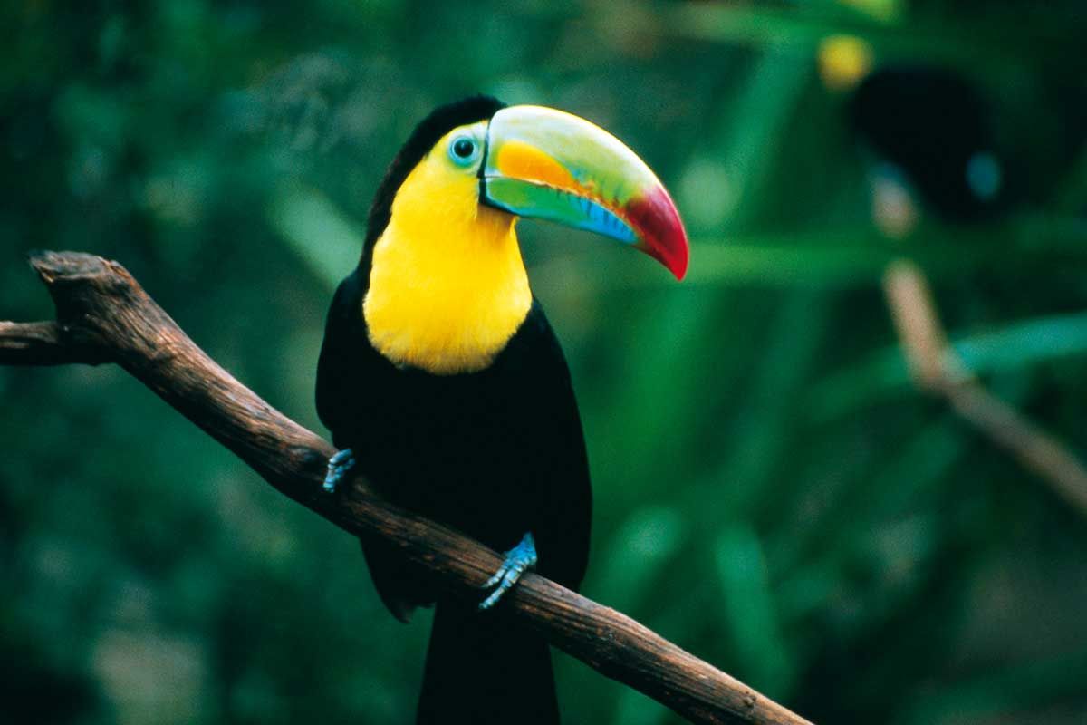 Circuit Tierra Maya 2*-3* pas cher photo 17