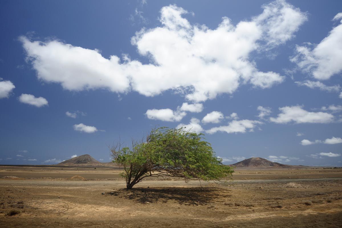 Circuit Sentiers de Santo Antão 3* pas cher photo 12