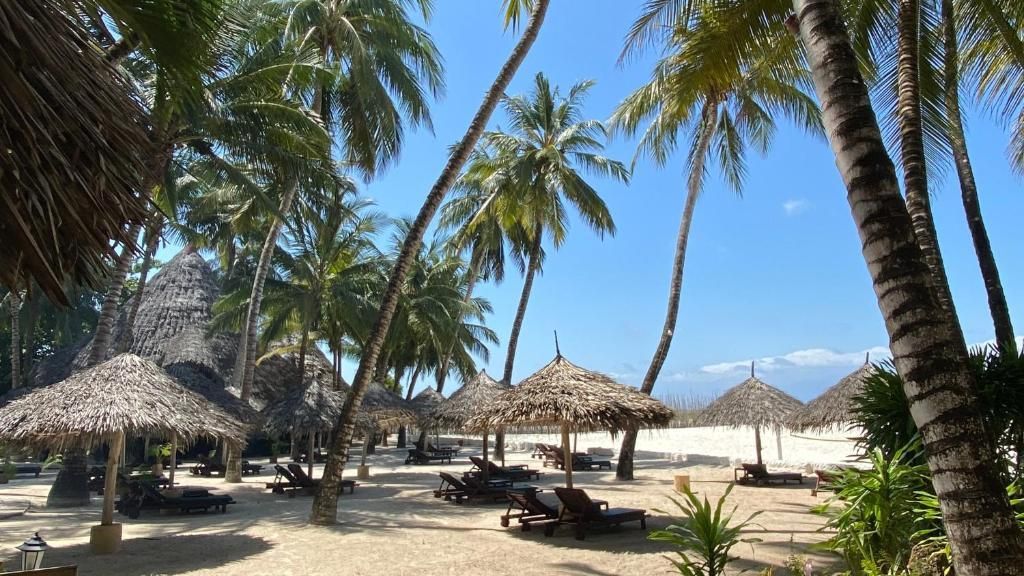 Hôtel Pinewood Beach Resort et Spa 4* et safari 2 nuits pas cher photo 9