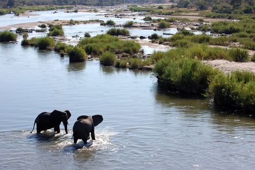 Circuit Splendeurs du Parc Kruger 3* pas cher photo 15