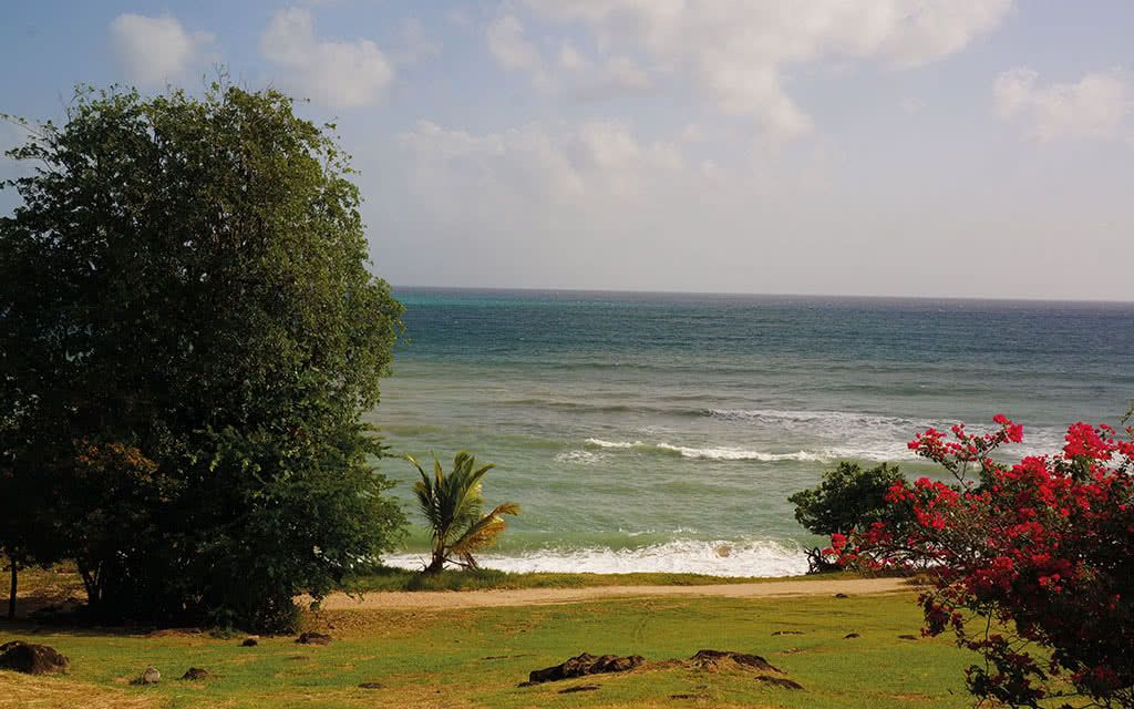 COMBINÉ 2 ILES : GUADELOUPE + MARTINIQUE Zenitude Le Clipper + Karibéa Amandiers 14 nuits 3* pas cher photo 12