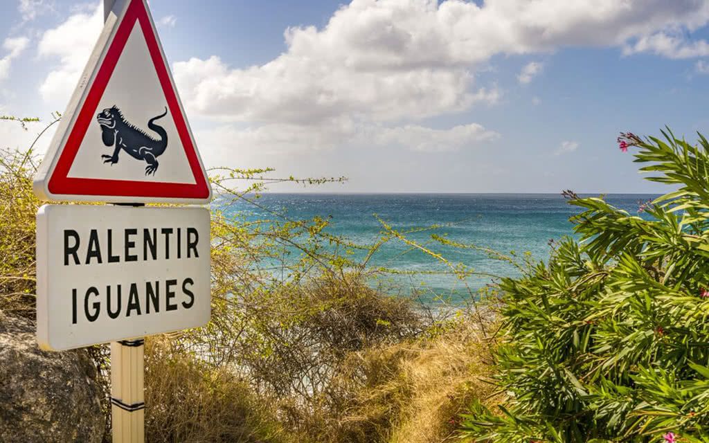 Circuit 3 Iles, 3 Ambiances - Zenitude Gosier pas cher photo 8