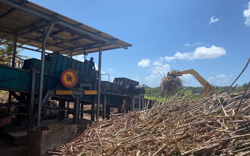 Circuit 3 Iles, 3 Ambiances - Zenitude Gosier pas cher photo 12