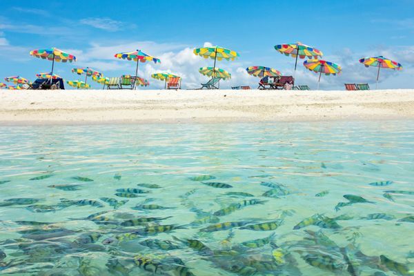 Circuit Splendeurs Sud Thaïlande 3*-4* et Hôtel 4* à Khao Lak et extension Phuket Hôtel 4* pas cher photo 27