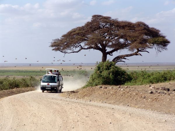 Merveilles du Kenya Safari en véhicule 4X4 & extension Plage de Mombasa 12J/9N - 2024 pas cher photo 1