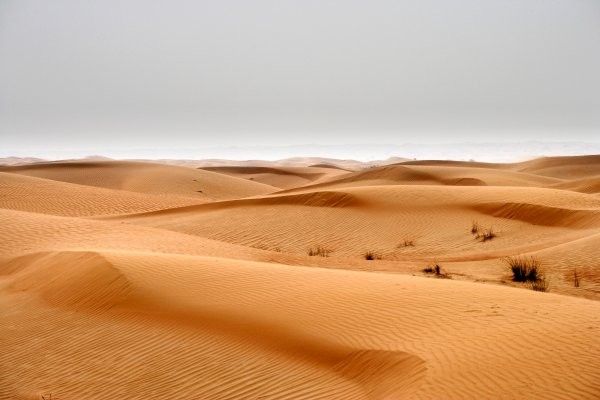 Circuit Secrets d'Oman entre Mer et Sable 3*-4* pas cher photo 8