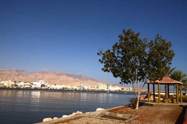 Circuit Secrets d'Oman entre Mer et Sable 3*-4* pas cher photo 11