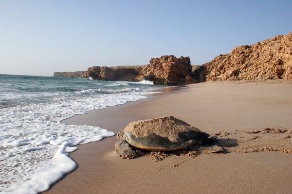 Circuit Secrets d'Oman entre Mer et Sable 3*-4* pas cher photo 20