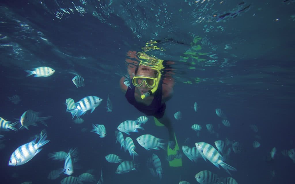 COMBINÉ 3 ILES : PRASLIN + LA DIGUE + MAHÉ Paradise Sun + La Digue Lodge + Cerf Island Resort 10 nui pas cher photo 15