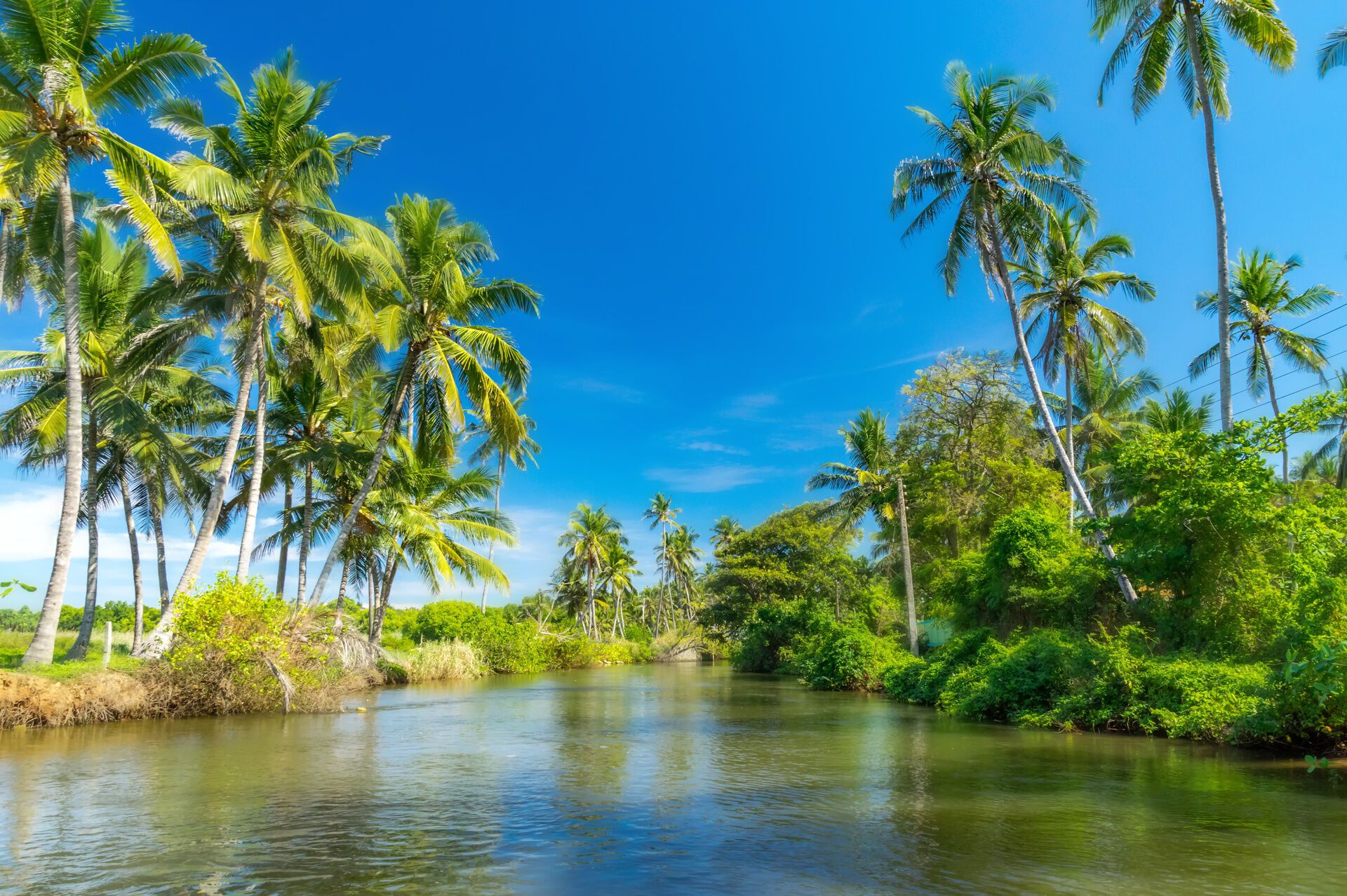 Circuit Découvertes Sri Lankaises 5* pas cher