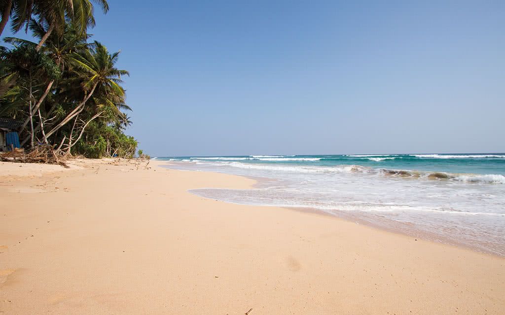 Circuit des plages de l'Est et Kandy - Offre spéciale Noces pas cher photo 1
