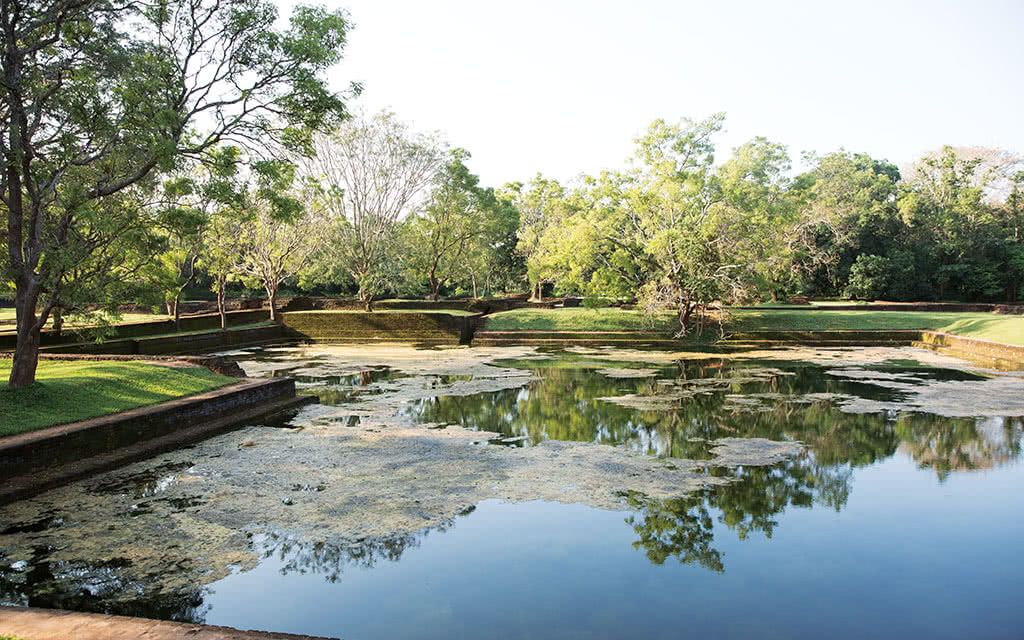 Circuit des plages de l'Est et Kandy - Offre spéciale Noces pas cher photo 8