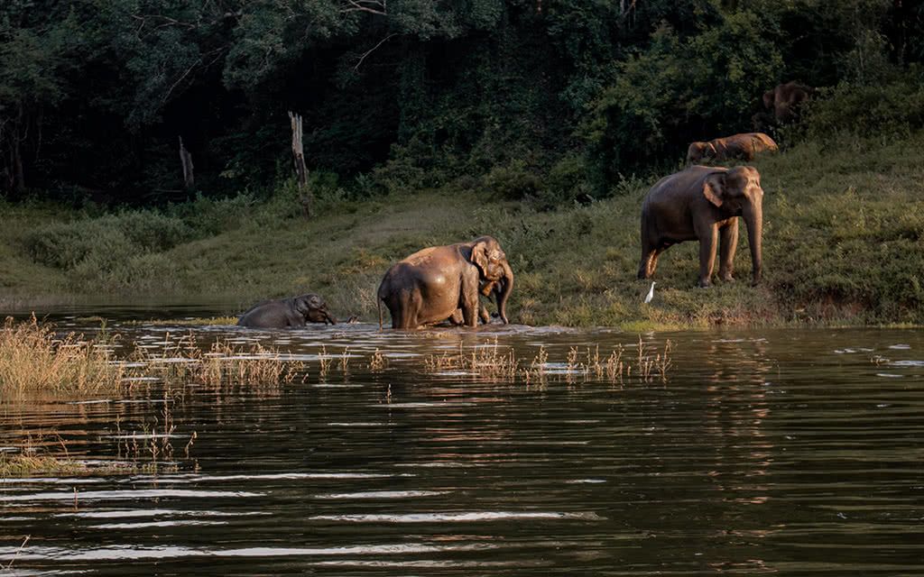 Circuit Hors des Sentiers Battus - Offre spéciale Noces pas cher photo 10