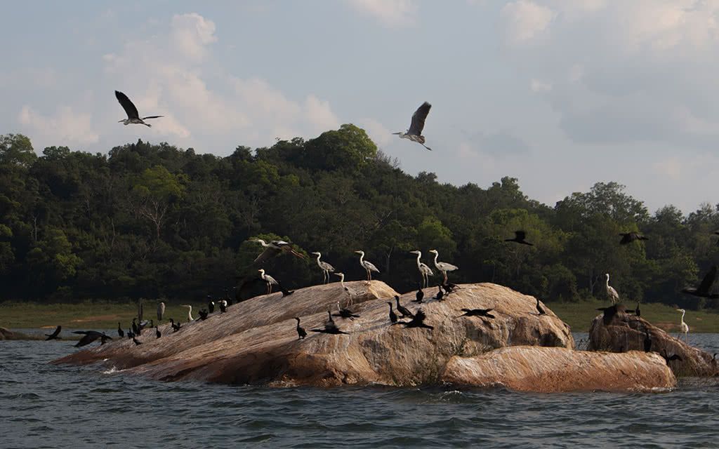 Circuit Hors des Sentiers Battus - Offre spéciale Noces pas cher photo 15