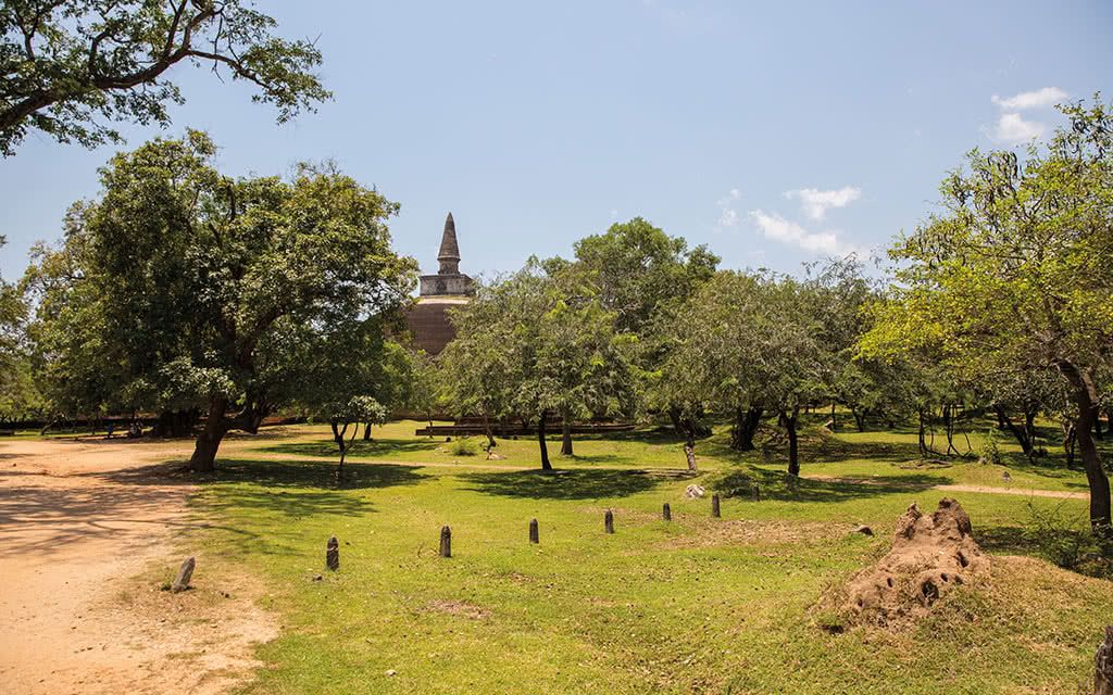 COMBINÉ SRI LANKA : L'île merveilleuse 3 - 7 Nuits + Extension Earl's Reef Beruwala 3 nuits = 10 nui pas cher photo 12