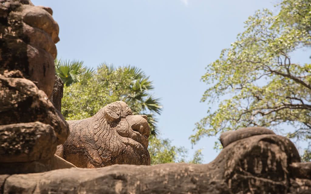 COMBINÉ SRI LANKA : L'île merveilleuse 4 - 7 Nuits + Extension Earl's Reef Beruwala 3 nuits = 10 nui pas cher photo 1