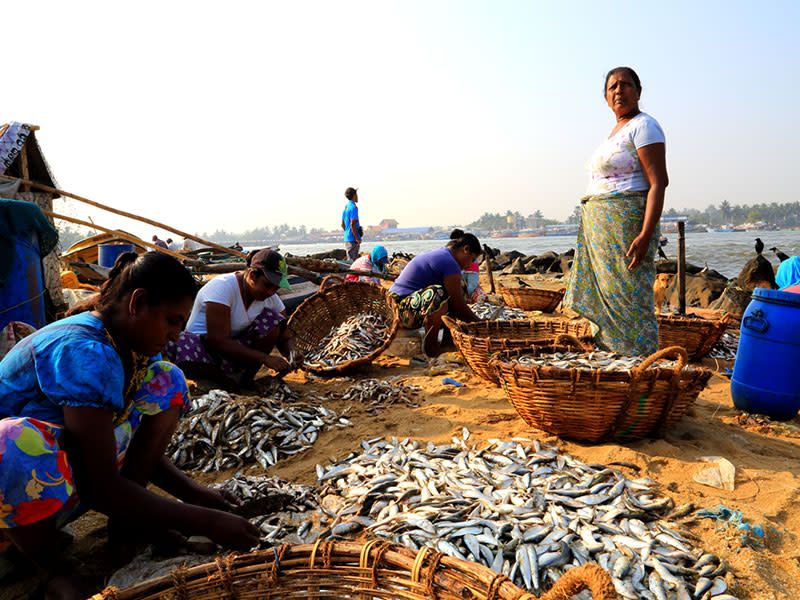 Circuit L'île Emeraude 3*-4* pas cher photo 2