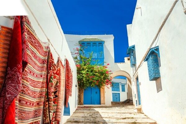 Circuit Trésors de Tunisie 3* pas cher photo 6