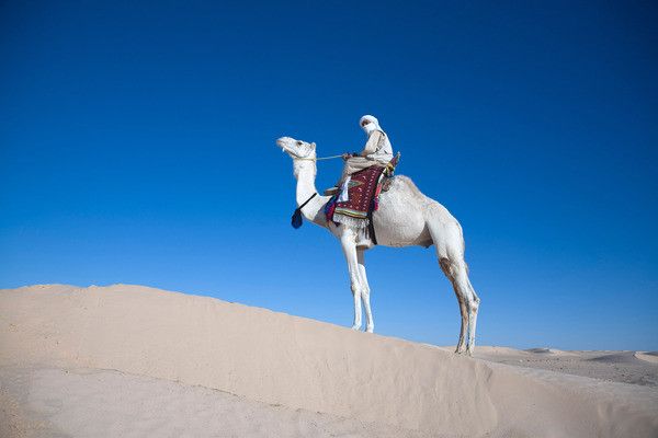 Circuit Trésors de Tunisie 3* pas cher photo 13