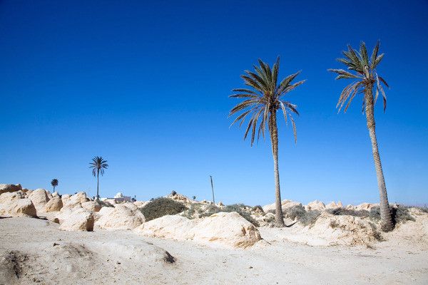 Circuit Trésors de Tunisie 3* pas cher photo 14