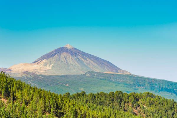 Circuit Randonnée entre volcan et forêts, logement au FERGUS Puerto de la Cruz 4* pas cher photo 6