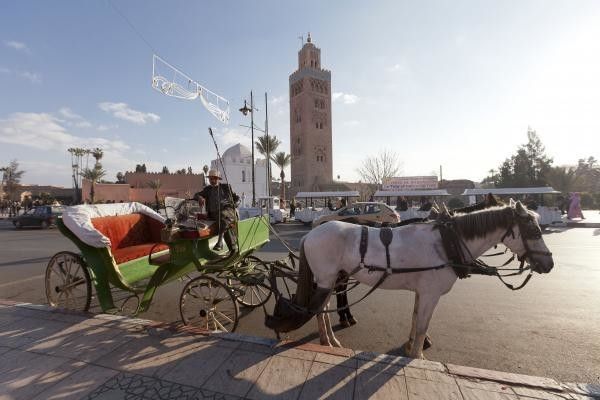 Circuit Boucles Sahariennes en 4x4 (circuit privé) pas cher photo 11