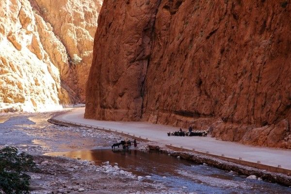 Circuit Sud marocain, du désert à l'océan (circuit privatif) pas cher photo 11