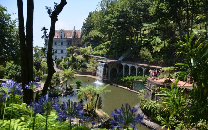 Road trip à Madère - Flex - Madère pas cher photo 3