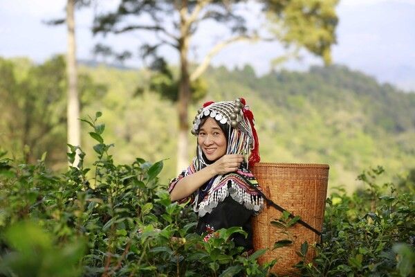 Circuit Essentiels de la Thaïlande 3* pas cher photo 19