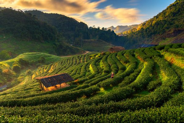 Circuit Essentiels de la Thaïlande 3* pas cher photo 8