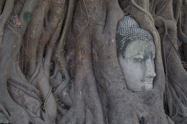 Circuit Thaïlande Charme Luxe et Privatif pas cher photo 10