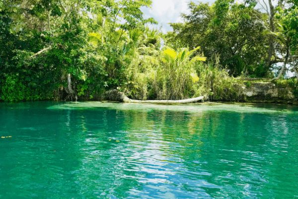 Circuit Autotour, de la Lagune de Bacalar à l'île d'Holbox pas cher photo 23