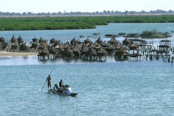 Circuit Beautés du Sénégal et balade avec les lions de Fathala pas cher photo 1