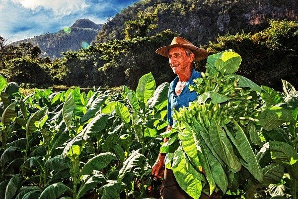 Circuit Trésors Cubains avec extension au Plein Vent Sélection Iberostar Origin Tainos pas cher photo 9