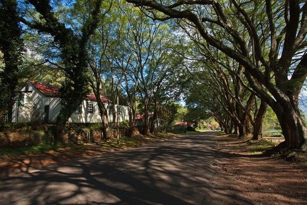 Circuit Paysages Sud Africains 3* pas cher photo 10