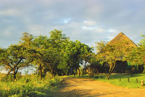 Circuit Paysages Sud Africains et extension aux Chutes Victoria 3* pas cher photo 26
