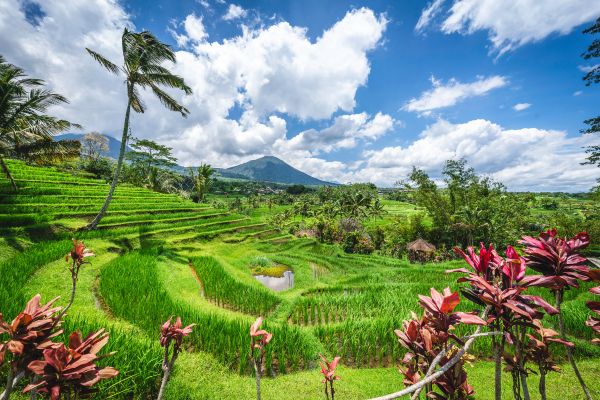 Combiné Mathis Collection Prestige : Ubud, Amed et Gili Asahan pas cher photo 25