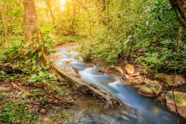 Circuit Autotour entre Océan Pacifique et Mer des Caraïbes pas cher photo 5