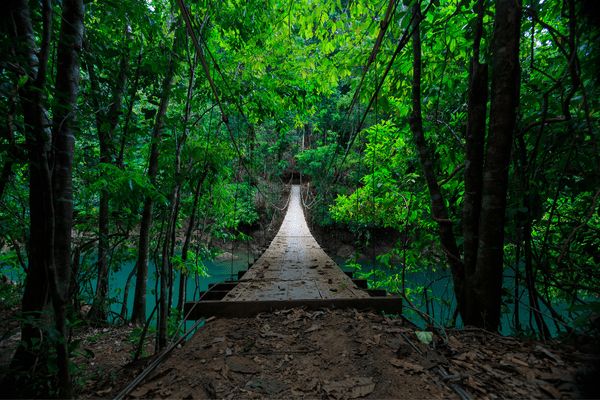 Circuit Autotour entre Océan Pacifique et Mer des Caraïbes pas cher photo 8