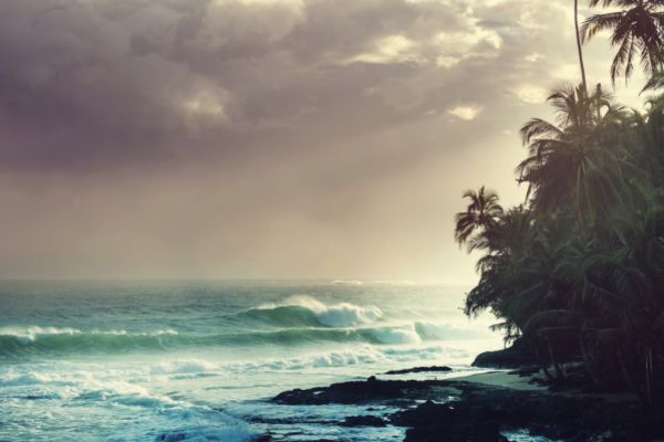 Circuit Autotour entre Océan Pacifique et Mer des Caraïbes pas cher photo 18